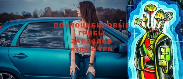 амф Абинск