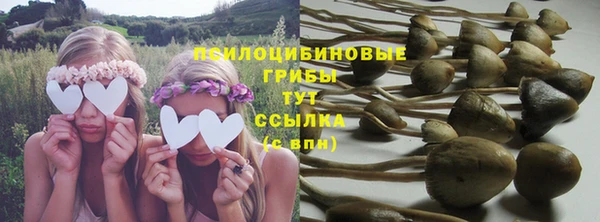 амф Абинск